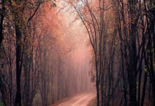 米兰体育官网:沙特主帅赛前:中国队进步非常明显 卡努将不会出战明天的比赛.