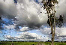 国足晋级形势分析:这回真输不起了.