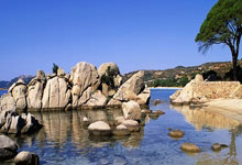 巴黎奥运会羽毛球冠军安赛龙宣布暂别赛场:接受背伤手术.